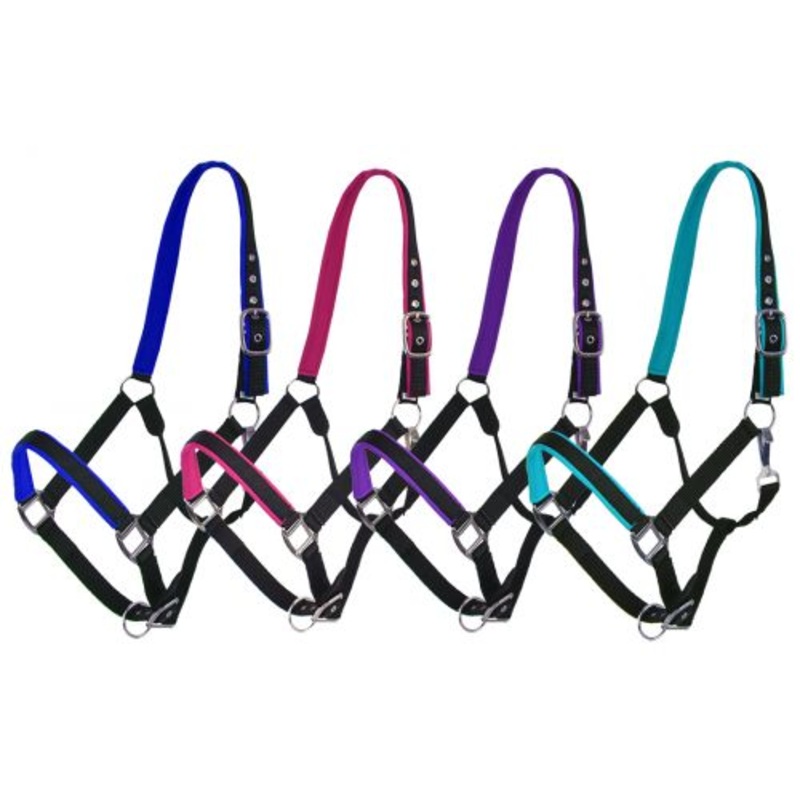 Showman Full Size Neoprene Lined Halter