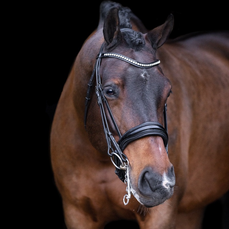 Imperial Riding Athena Weymouth Bridle