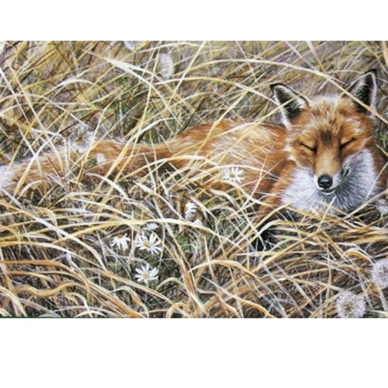 A Quiet Snooze (Fox) Blank Greeting Cards – 6 Pack