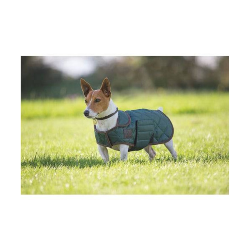 Digby & Fox Quilted Dog Coat