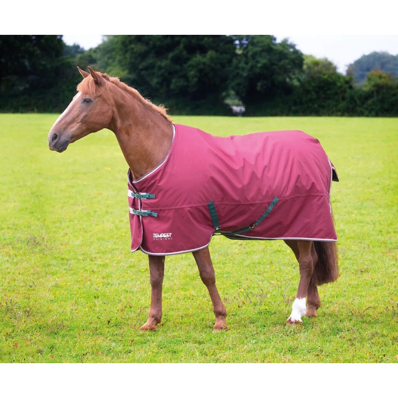 Shires Tempest Original 200g Horse Turnout Rug Std Neck