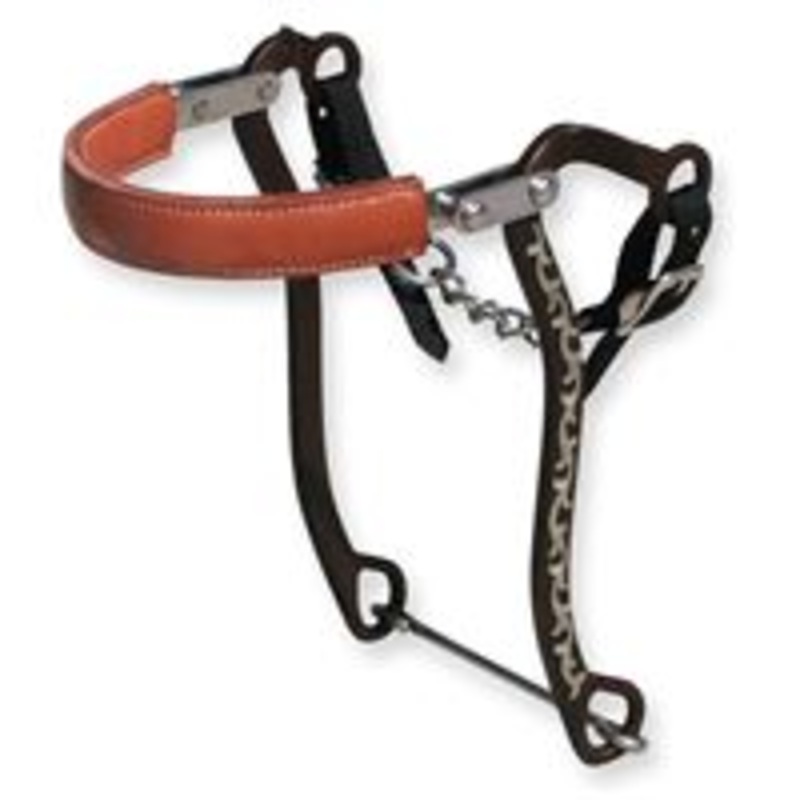 8 1/2″ Professional Choice Bob Avila Mechanical Horse Bit Hackamore Floral
