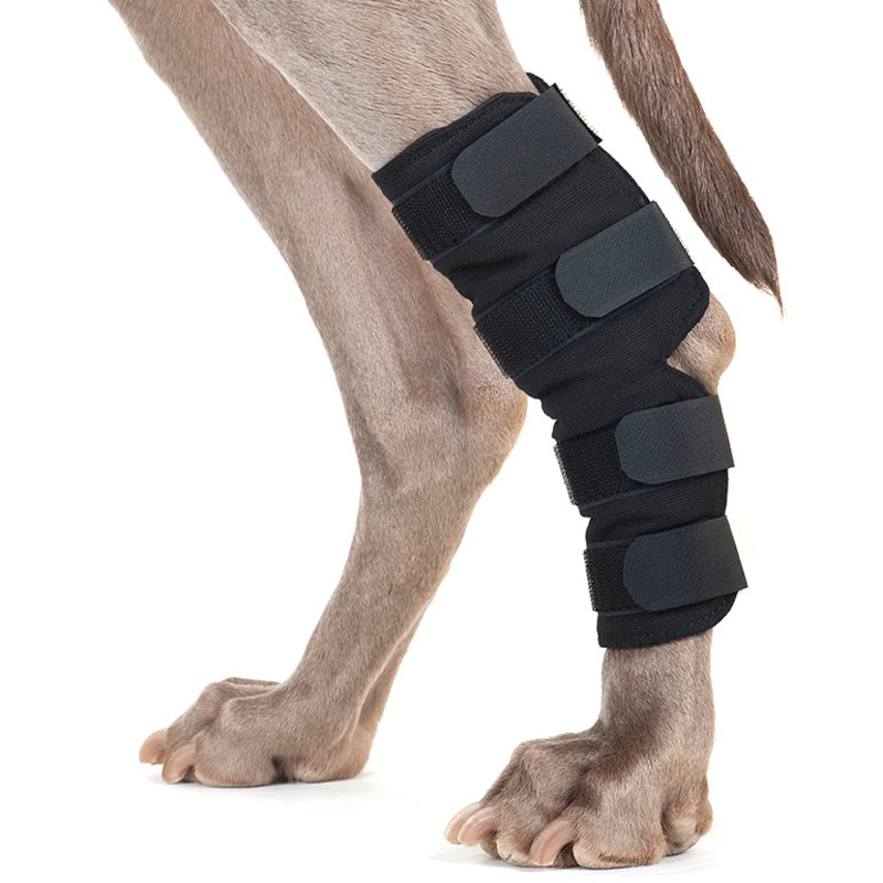 Back on Track Dog Hock Wrap