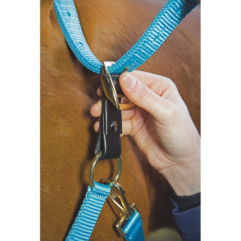 Velociti GARA Headcollar Breakaway Attachment
