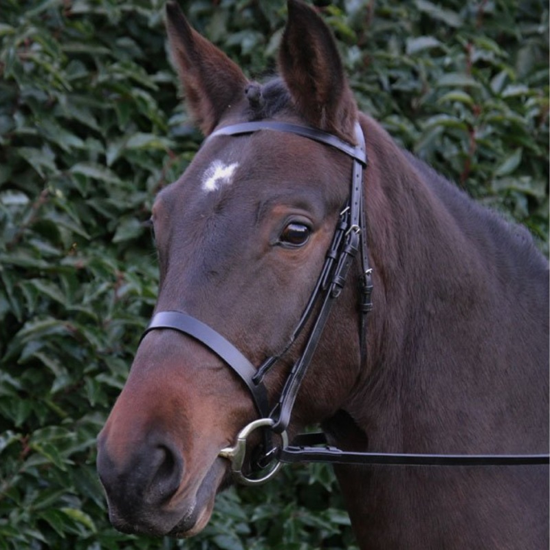 Hy Hunter Bridle with Rubber Grip Reins