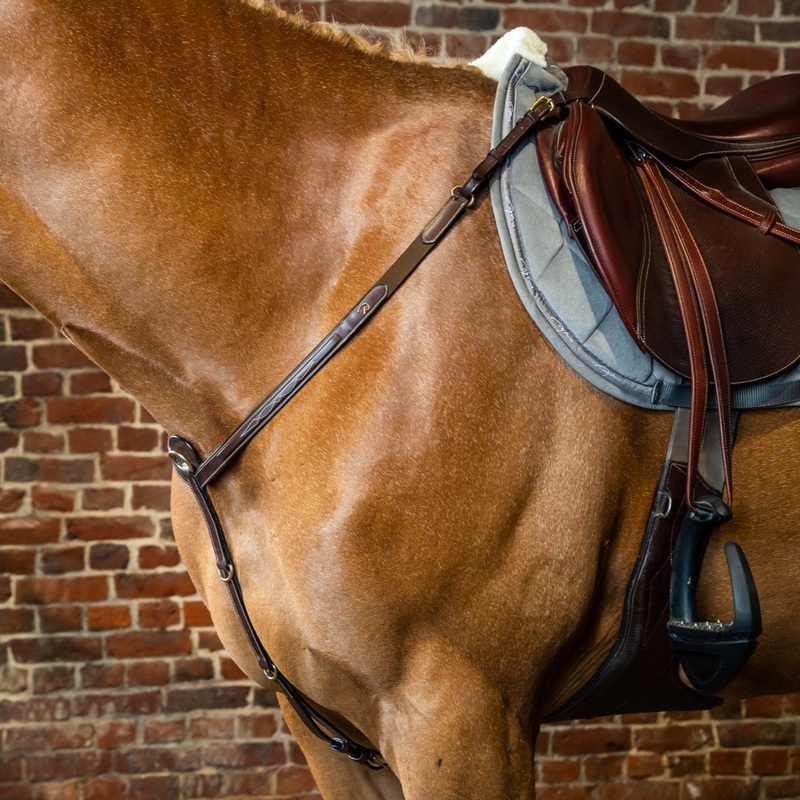 D Collection Breastplate