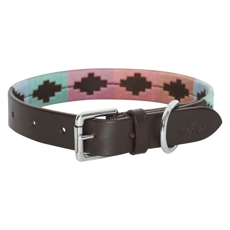 HV Polo Chaya Dog Collar