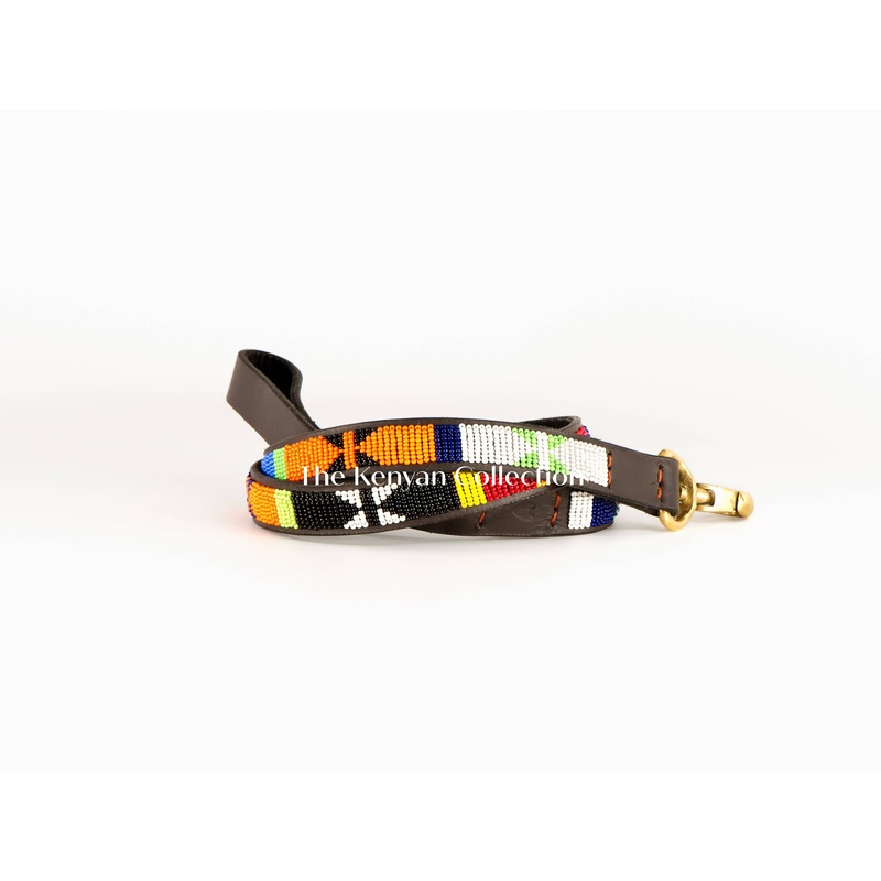 “Primary” Beaded Dog Lead