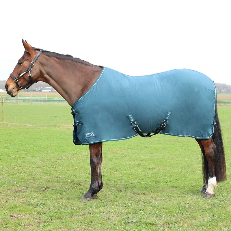 StormX Empra Pima Cotton Sheet