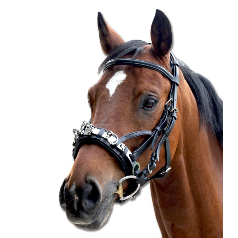 Waldhausen Leather Cavesson