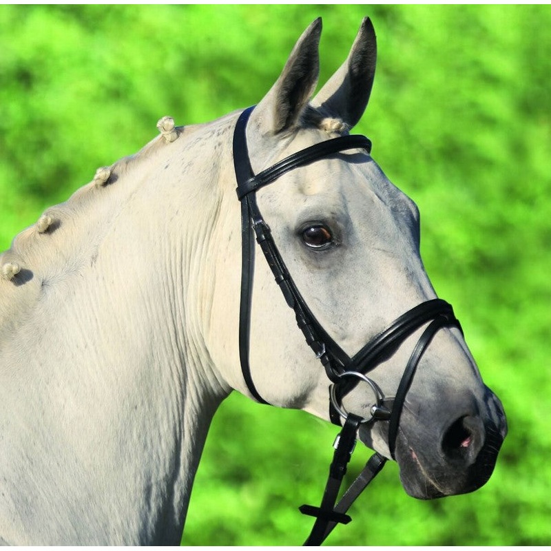 Waldhausen Star Lifestyle Bridle