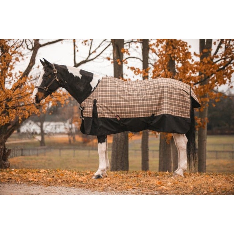 5/A Baker Black Label Turnout Blanket (200g Medium)