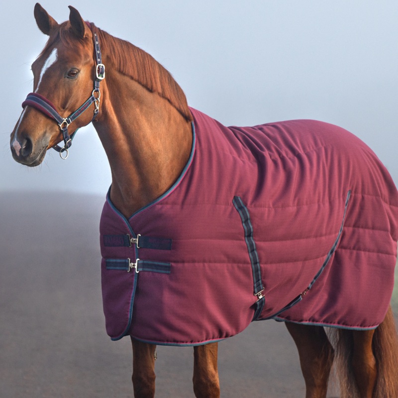 Horseware Ireland Rambo Stable 100g