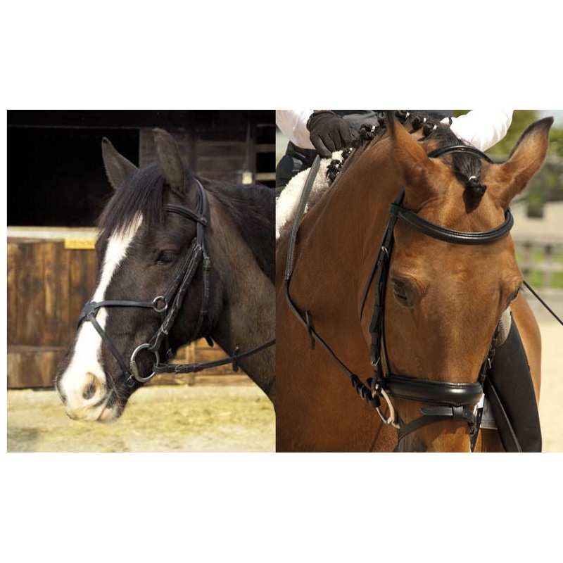 Rhinegold Leather Comfort Bridle Padded All Sizes