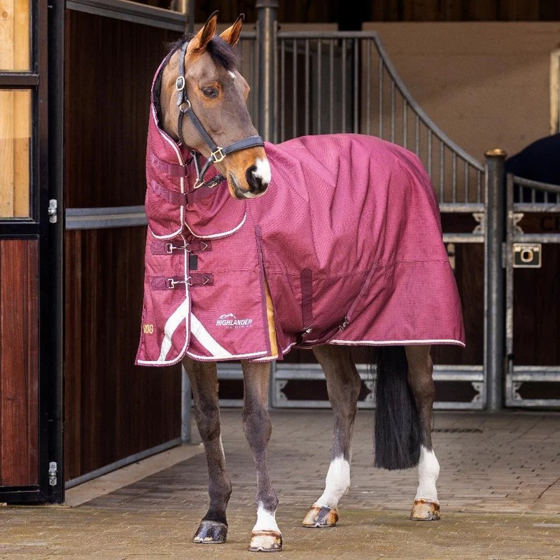Shires Highlander Plus 100g Combo Turnout Rug