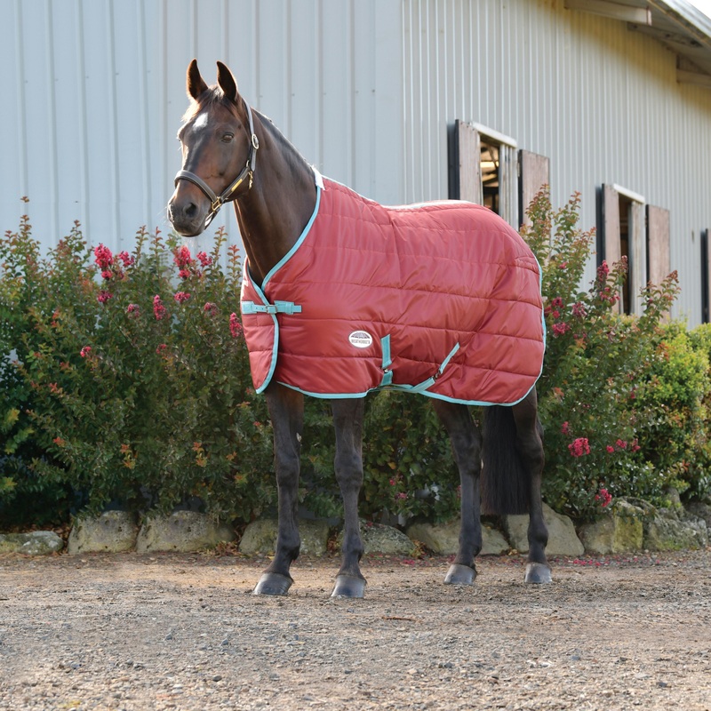 Weatherbeeta Comfitec 210D Channel Quilt Standard Neck Medium Lite