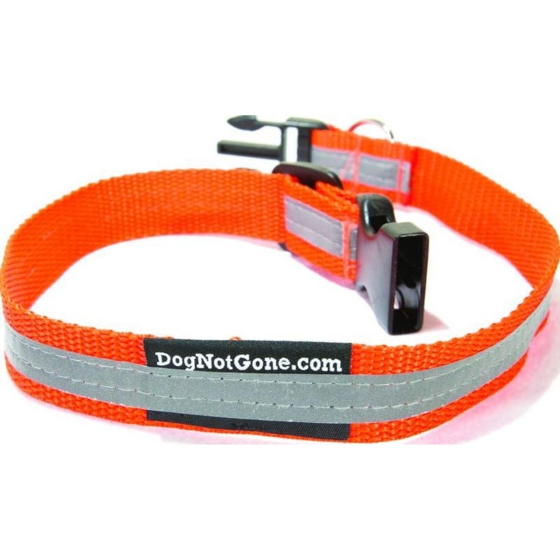 DOG NOT GONE Reflective Collar