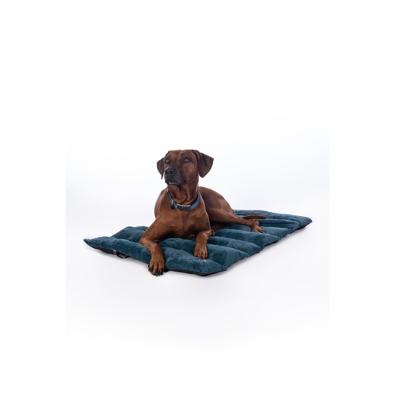 Dog Blanket Anam Cara Travel