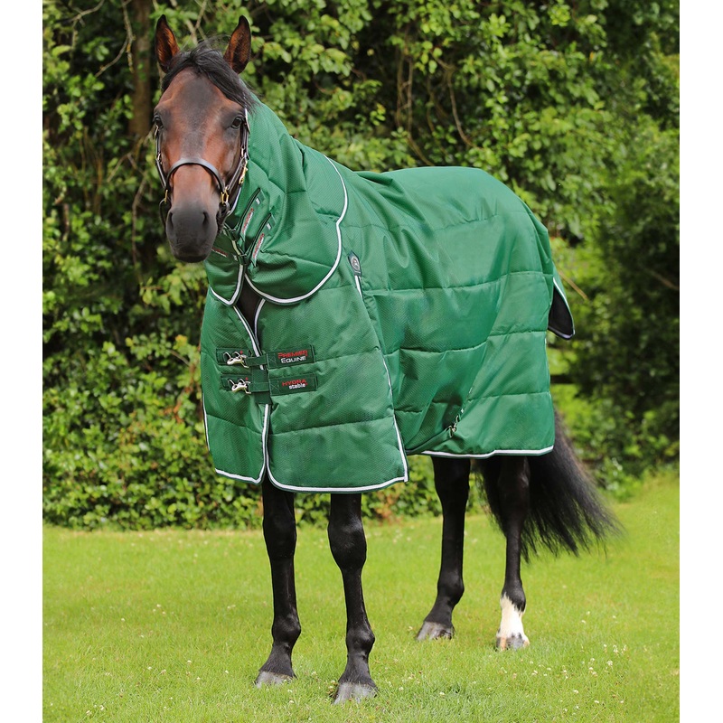 Hydra 200g Stable Rug with Neck Cover Green