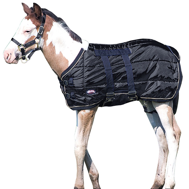 39″ Weaver Leather Cold Weather 420D Foal Horse Blanket W/ Belly Strap Black