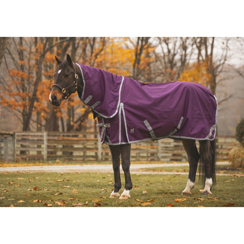 Boreas Purple Turnout Sheet 1200 Denier & Reflective Stripes