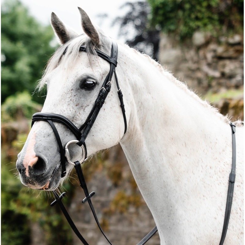Mackey Legend Athena Bridle