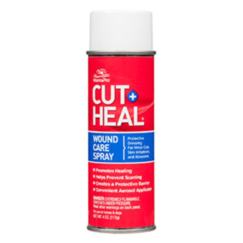CUT AND HEAL AERSOL 4 OZ
