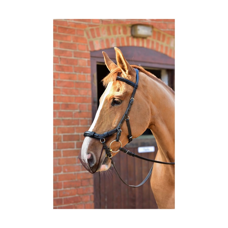 Equilibrium Net Relief Muzzle Net for Micklem Bridles