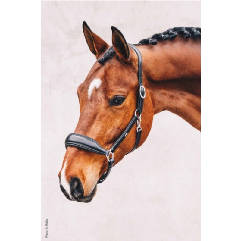 Schockemohle Fremont Anatomical Leather Halter