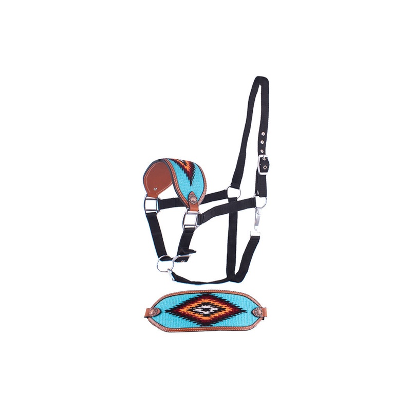 #202455: Showman  Adjustable nylon bronc halter with teal noseband