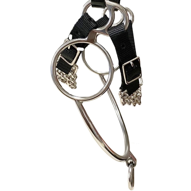 WTP (Winning Tongue Plate) Bitless Rearing Bit with Brakes