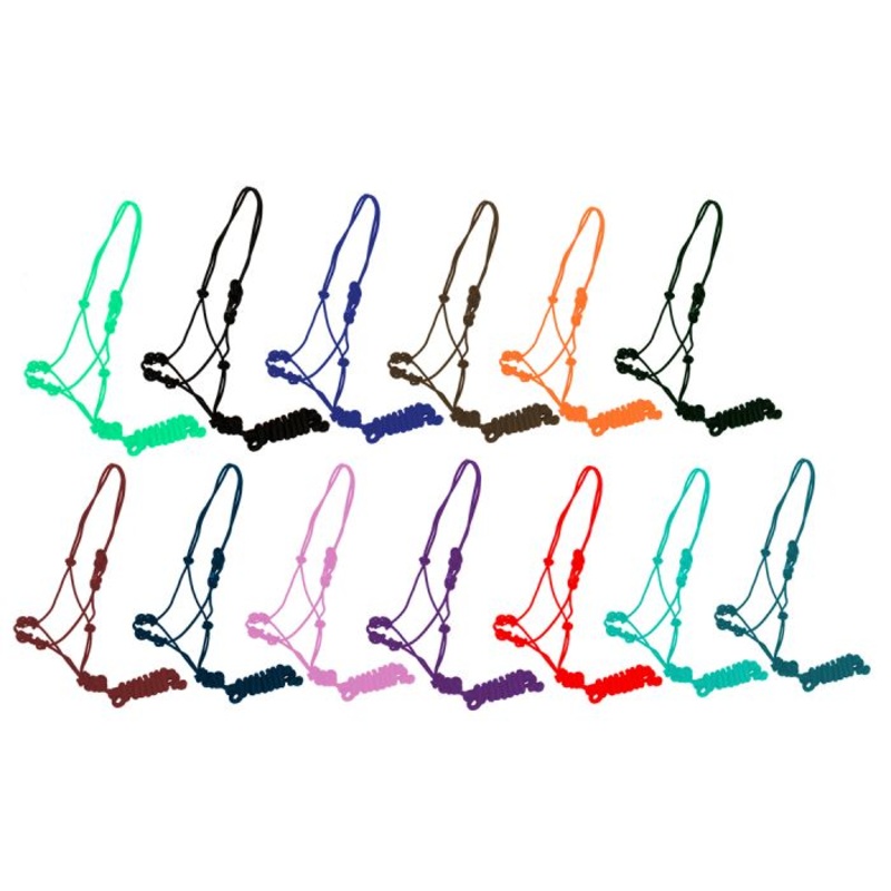Training cowboy knot halter with four knot pressure points and 10ft removeable lead