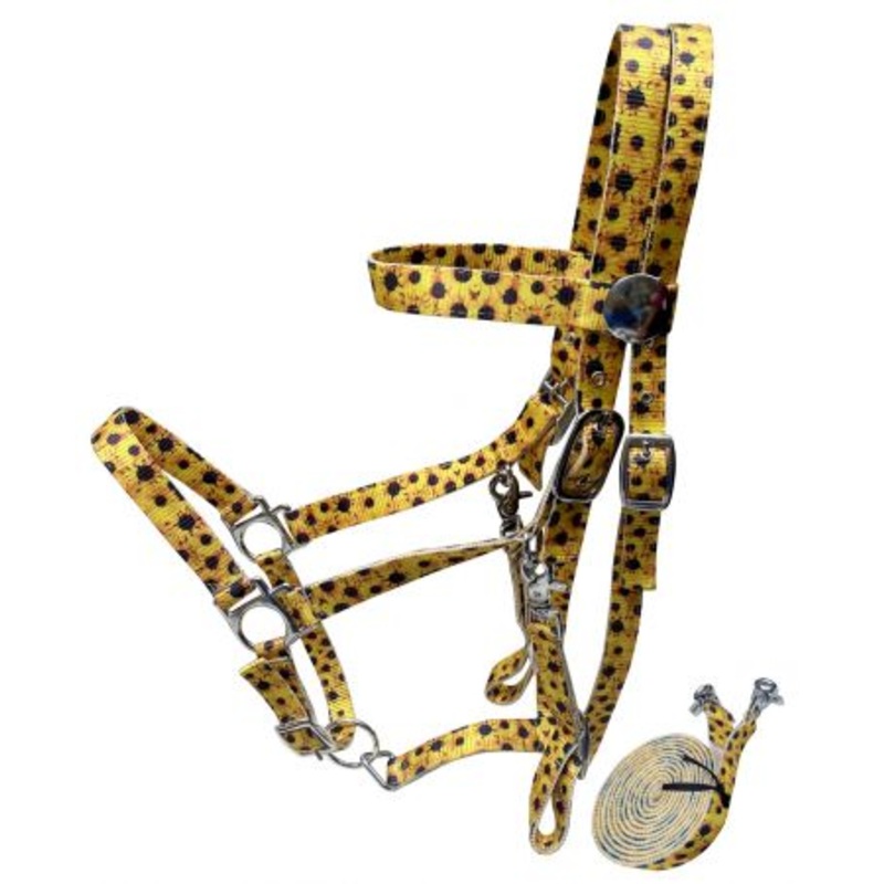 Showman  Sunflower Nylon Premium combination halter bridle with reins
