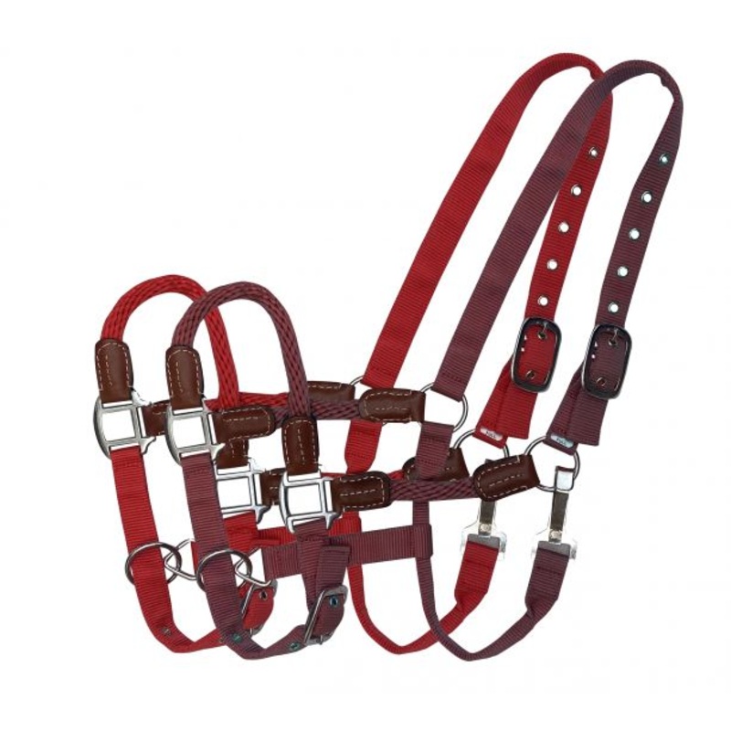 Showman  Nylon halter with Nylon Rope Nose and Cheeks with leather accents