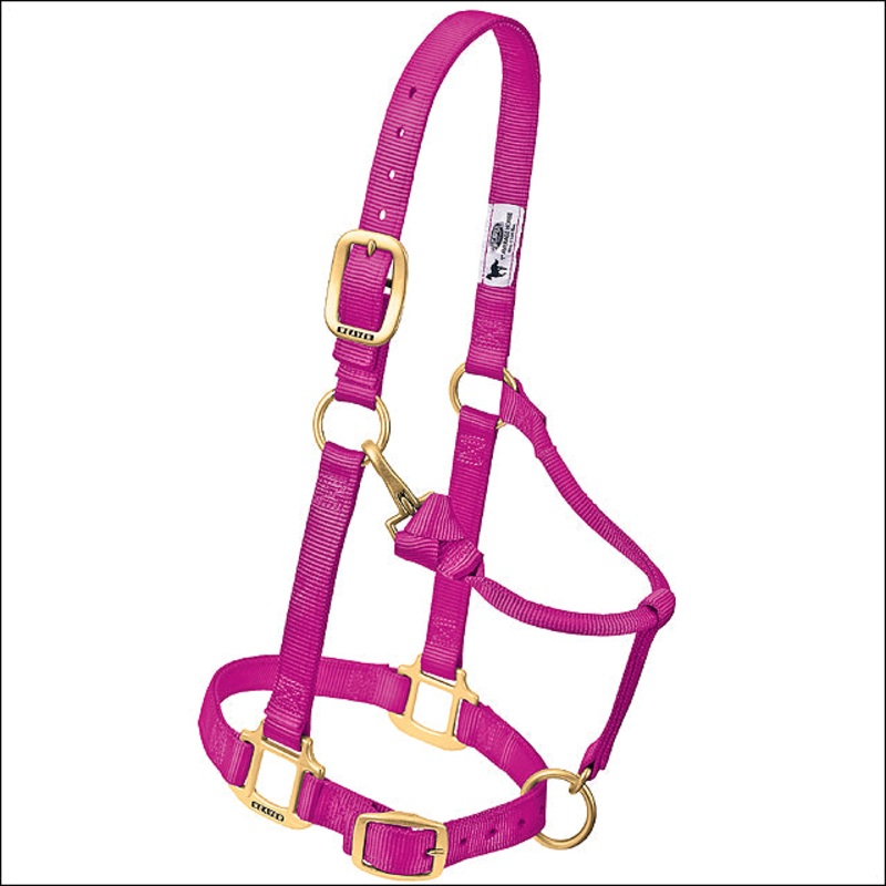 Weaver Raspberry Horse Nylon Heat Sealed Buckle Halter Adjustable Small Horse