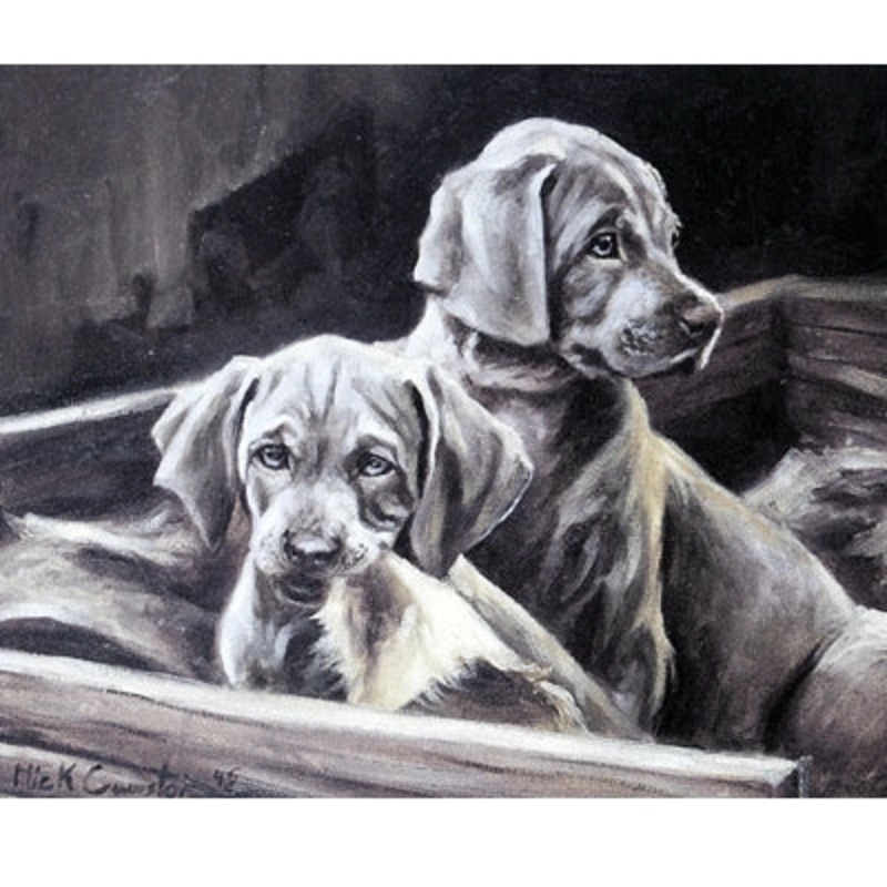 Thats Torn It By: Mick Cawston