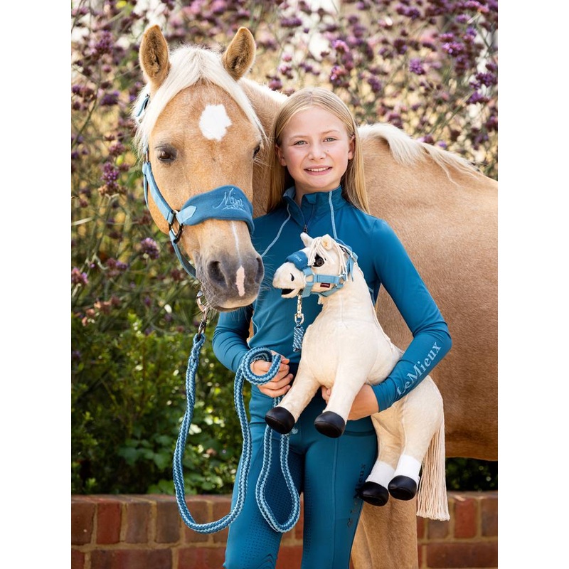 Toy Ponies