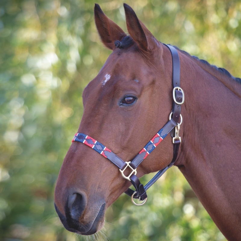 Shires Velociti GARA Leather Polo Headcollar