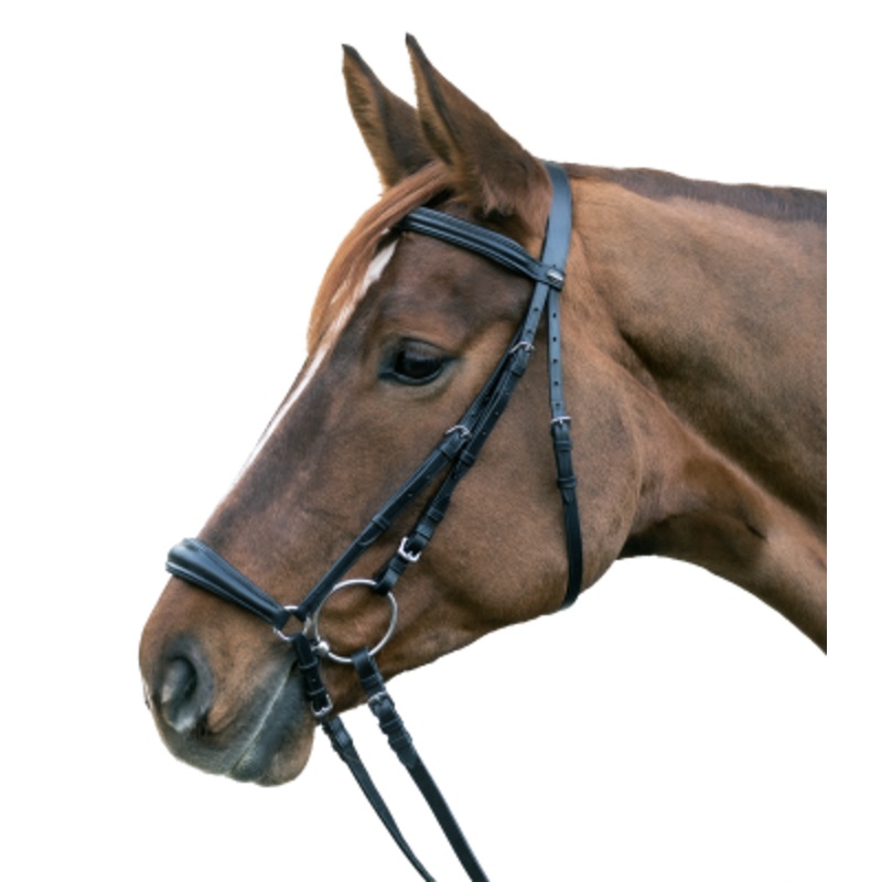 Waldhausen X-Line Hannover Drop Noseband Bridle
