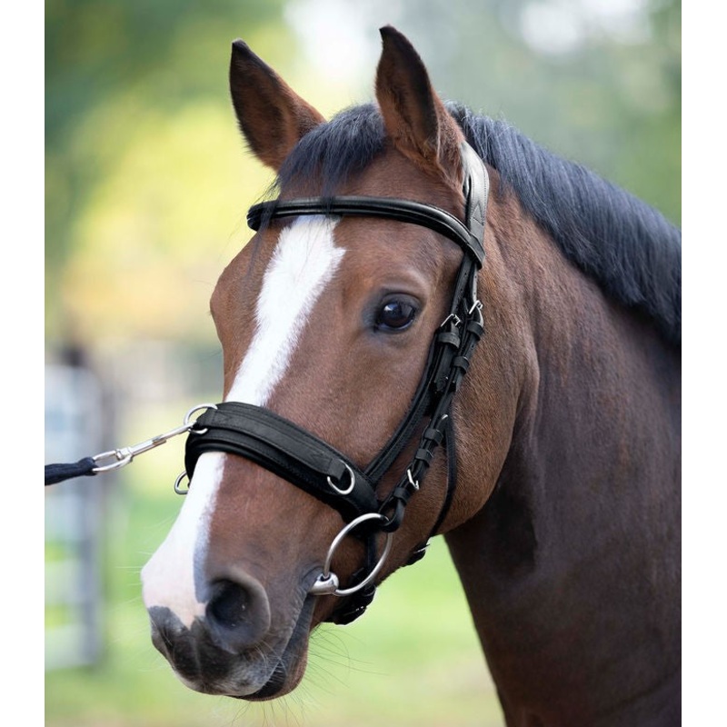 Waldhausen Anatomical Leather Lunge Cavesson