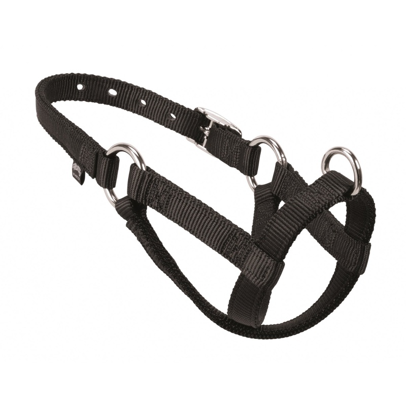 Weaver Leather Nylon Walking Halter