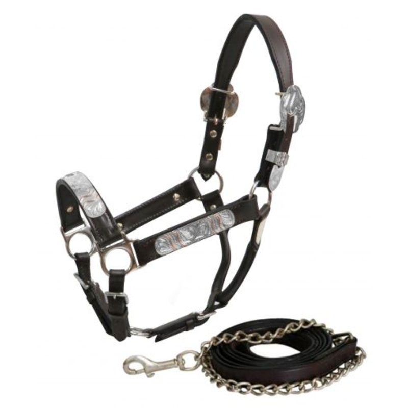 #161125: Showman Yearling Dark leather show halter with lead