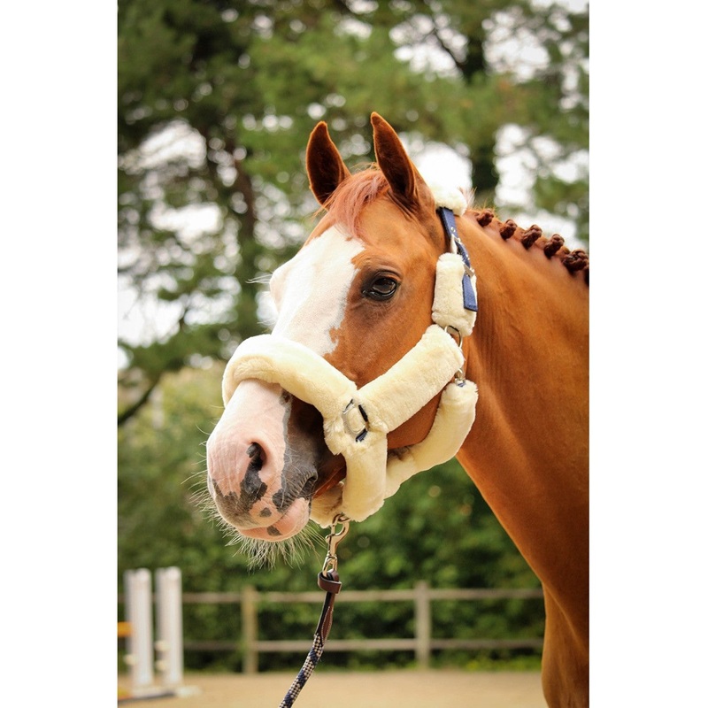 Soft One Halter