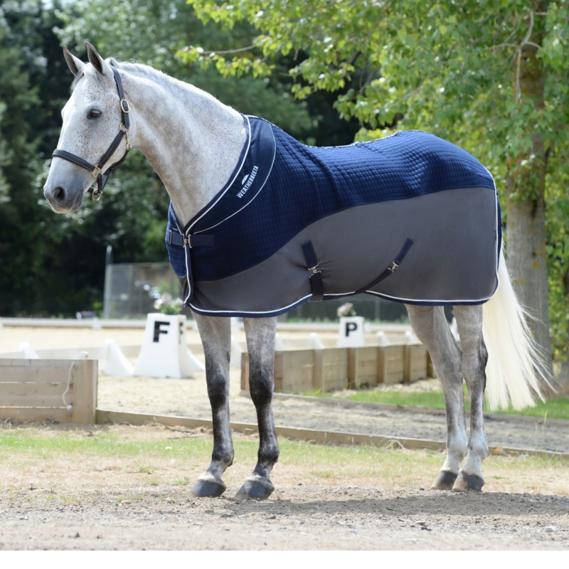 Weatherbeeta Thermo-Air Cooler Standard Neck