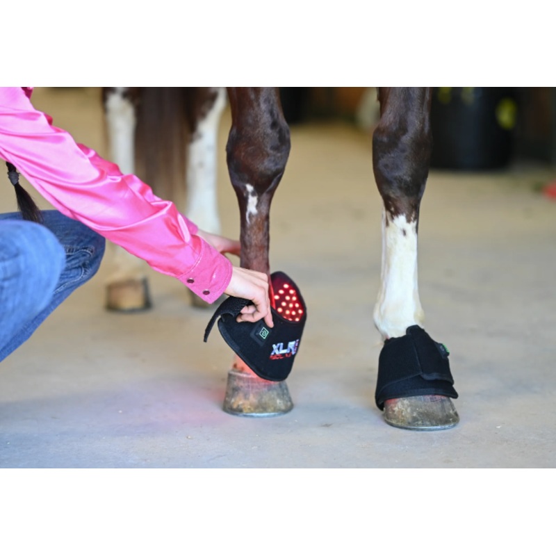 XLR8 Equine Redline Bell Boot