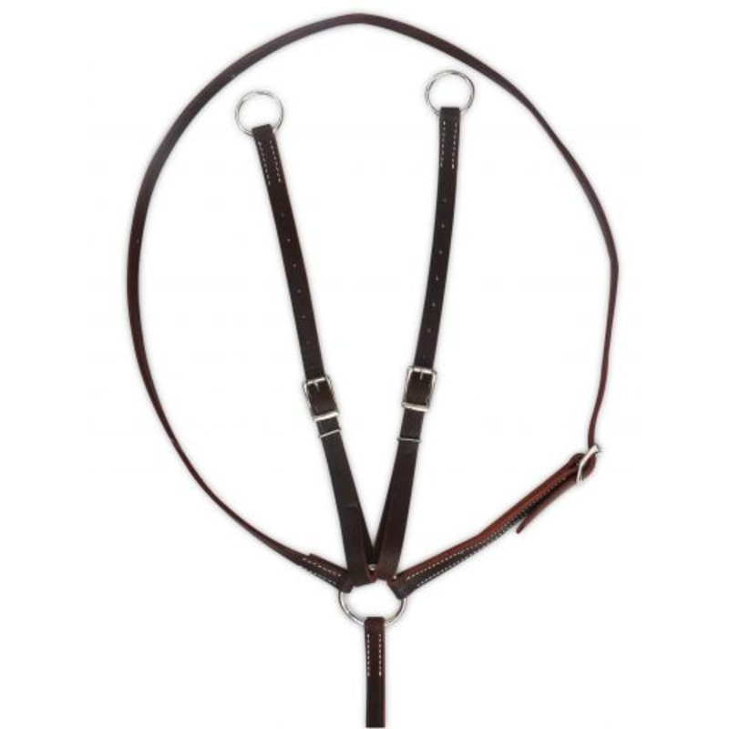 #175615: Showman  Argentina cow leather running martingale