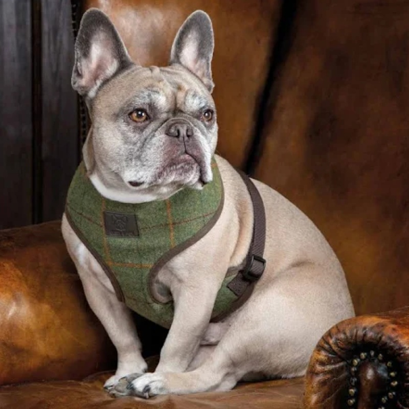 Shires Digby & Fox Tweed Dog Harness