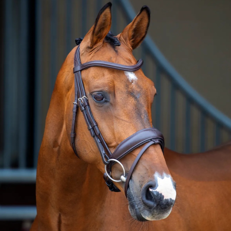 Shires Lusso Dressage Flash Bridle
