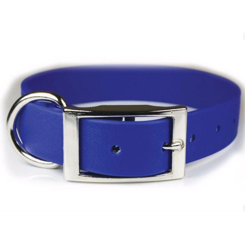 Zeta Poly Vinyl Coated Dog Collar