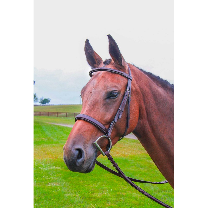 Vespucci Veritas Fancy Raised Hunter Bridle